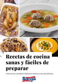 Folleto Sangüi Página 17