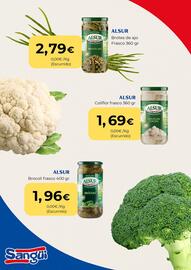 Folleto Sangüi Página 4