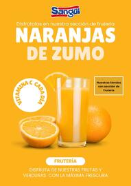 Folleto Sangüi Página 6