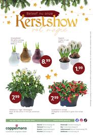 Coppelmans folder Pagina 12