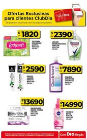 Folleto Supermercados DIA semana 46 Página 51