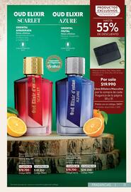 Catálogo Nova Venta Página 31