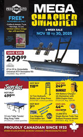 Princess Auto flyer Page 1