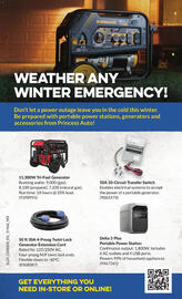 Princess Auto flyer Page 118