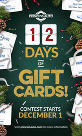 Princess Auto flyer Page 119