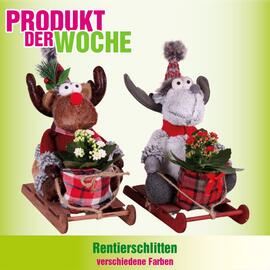 Blumen B&B Flugblatt woche 46 Seite 4