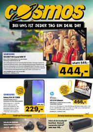Cosmos Flugblatt Seite 1