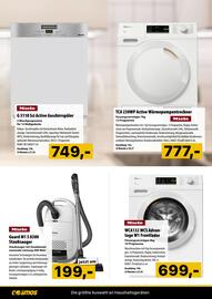 Cosmos Flugblatt Seite 12