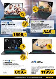 Cosmos Flugblatt Seite 5