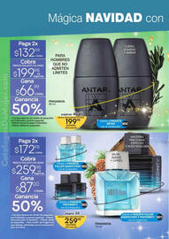 Catálogo Fuller Página 22