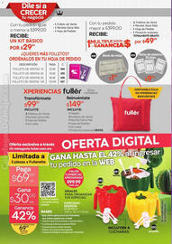 Catálogo Fuller Página 28