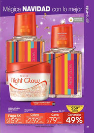 Catálogo Fuller Página 29