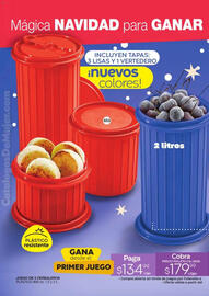 Catálogo Fuller Página 32