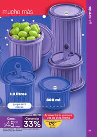 Catálogo Fuller Página 33