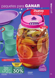 Catálogo Fuller Página 35