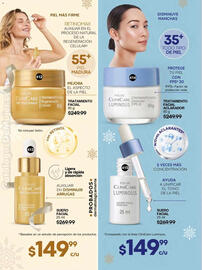 Catálogo Fuller Página 100