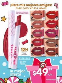 Catálogo Fuller Página 13