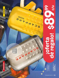 Catálogo Fuller Página 17