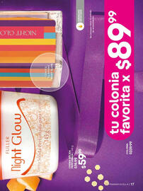 Catálogo Fuller Página 19