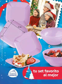 Catálogo Fuller Página 214