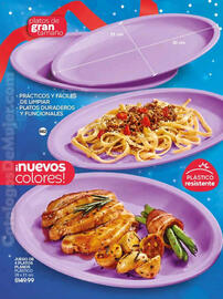 Catálogo Fuller Página 216