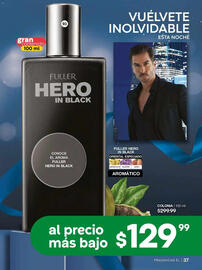 Catálogo Fuller Página 39