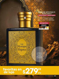 Catálogo Fuller Página 47