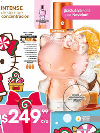 Catálogo Fuller Página 5