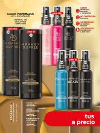 Catálogo Fuller Página 60