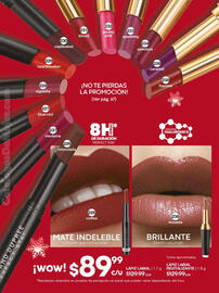 Catálogo Fuller Página 68