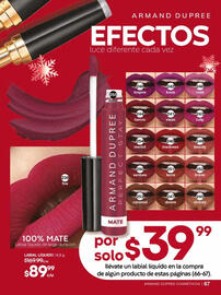 Catálogo Fuller Página 69