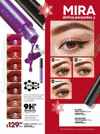 Catálogo Fuller Página 70