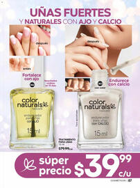 Catálogo Fuller Página 89