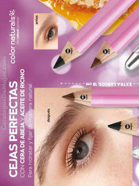 Catálogo Fuller Página 92