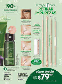 Catálogo Fuller Página 97