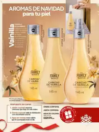 Catálogo Fuller Página 106