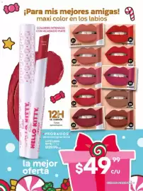 Catálogo Fuller Página 13