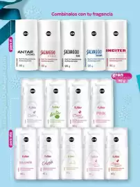 Catálogo Fuller Página 140