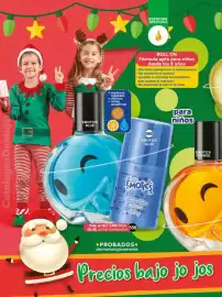 Catálogo Fuller Página 152