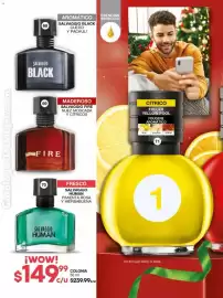 Catálogo Fuller Página 30