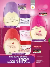 Catálogo Fuller Página 32