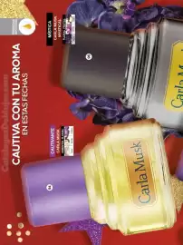 Catálogo Fuller Página 40