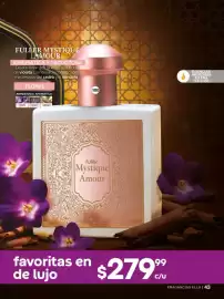 Catálogo Fuller Página 45