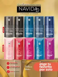 Catálogo Fuller Página 58