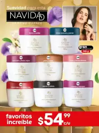 Catálogo Fuller Página 61