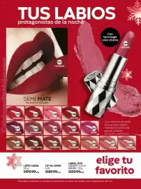 Catálogo Fuller Página 66