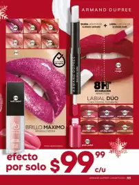 Catálogo Fuller Página 67