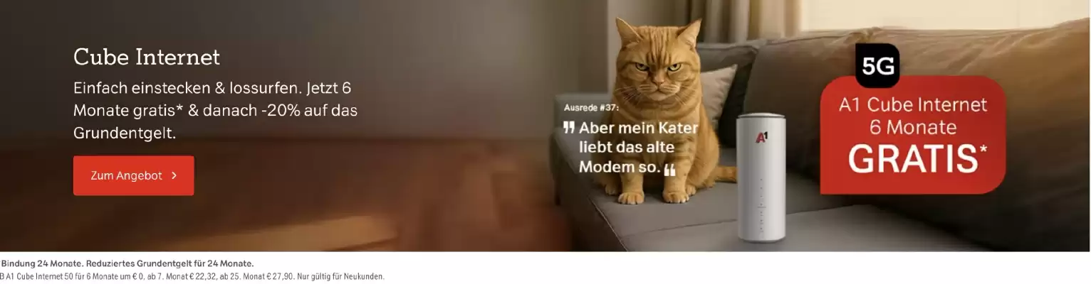 A1 Flugblatt (gültig bis 23-11)