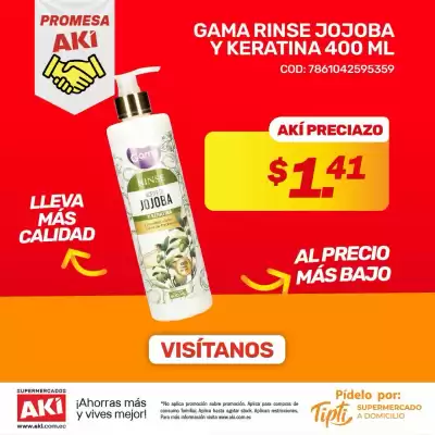 Catálogo Akí (válido hasta 15-11)