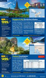 Lidl Flugblatt Seite 14